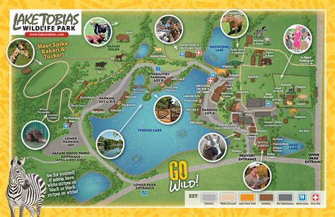 Lake tobias - Lake Tobias Wildlife Park, Halifax, Pennsylvania. 103,708 likes · 710 talking about this · 171,662 were here. 2024 Rates Park Admission: $10 Ages 3+ Safari Tour: $9 Ages 3+ Military Discount...